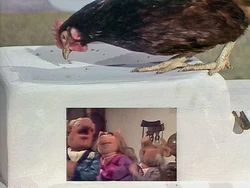 419-13