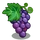 Grape-icon.png