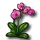 Pink Orchid-icon.png