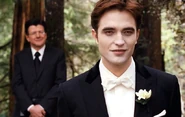 1320700909 twilight-wedding-9-lg