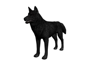 Lobo the wolof