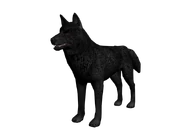 Lobo the wolof