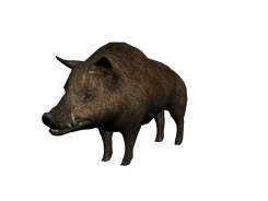 Jabali mexico