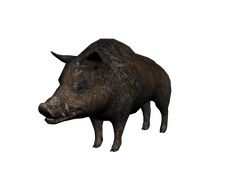 Jabali
