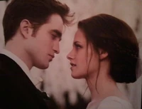 Bdweddingscan