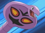Jessie Arbok
