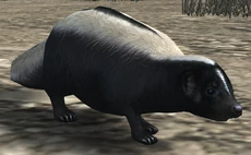 Mofeta