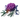 Brain