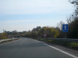 N141 (2)