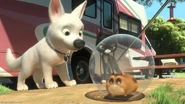 Bolt-disneyscreencaps.com-5382