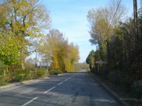 D129 (17) (8)