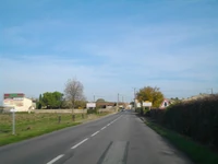 D129 (17) (9)