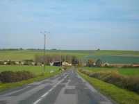 D129 (17) (16)