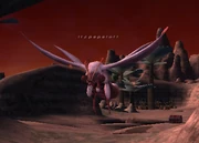 Itzpapalotl.png