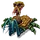 Fink