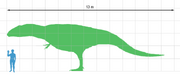 Giganotosaurus scale