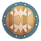 Banded Shield (Skyward Sword)