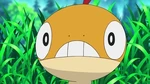 EP717 Scraggy