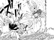 Erza beats Aria