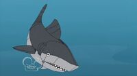 603px-Mechanical Shark underwater.jpg