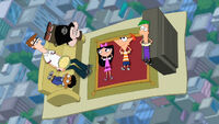 Magic Carpet Ride Image15.jpg