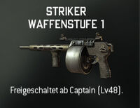 Striker.jpg