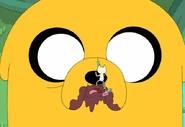 Memow8
