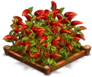 ChiliPeppers 02.png