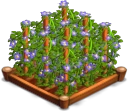 Lin 02.png