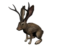 Lentri.png
