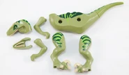 Raptor parts