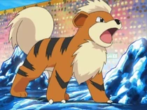 EP407 Growlithe de Morrison