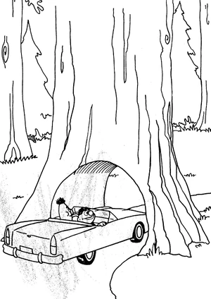 Redwoodforest