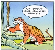 Shere Khan
