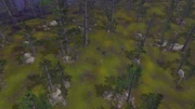 HighlandForest