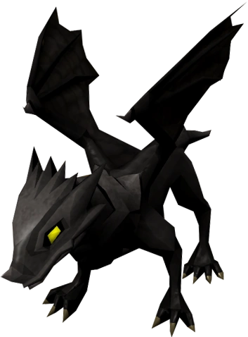 Baby black dragon