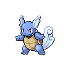 Wartortle (946 B) Wartortle