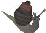 Blood Blamish Snail old