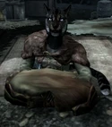 Skyrim K Ahkari