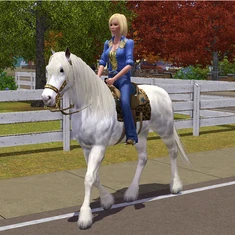 Horse-riding