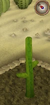 Cactus4