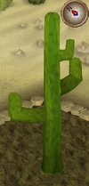 Cactus7