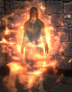 Flame Cloak