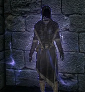 Lightning Cloak