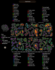 Chaos tunnels map