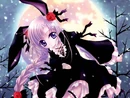 Usagirabbitbunny.jpg