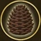 Material Pine