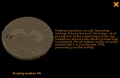 Display 44.png