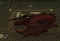 Dragon Sleep.png