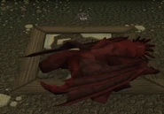 Dragon Sleep
